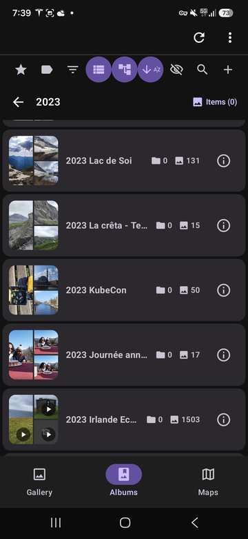 Screenshot: albums within a year